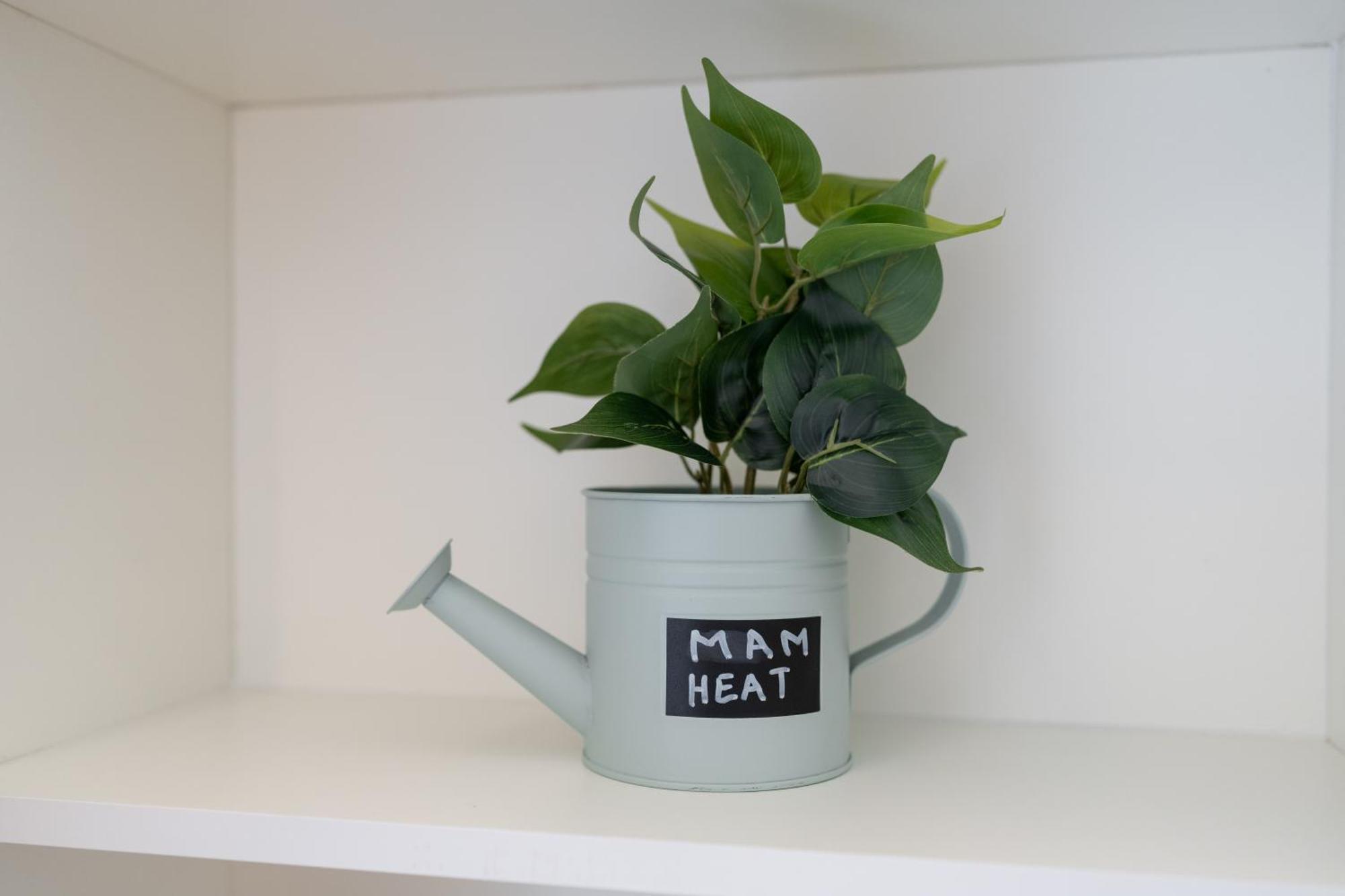 Mam Heat Apartments - Viana City Centre Виана до Кастело Екстериор снимка